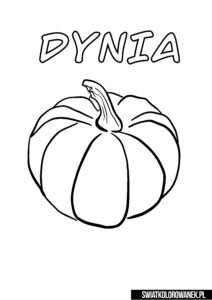 Dynia