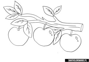 Jabłka na gałęzi. Kolorowanki owoce do druku