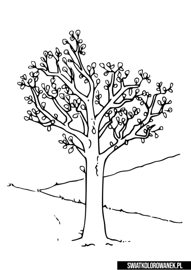 Wiosenne drzewo kolorowanka