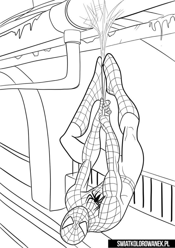 Spiderman malowanka. Pobierz kolorowankę. Spiderman wiszący do góry nogami.