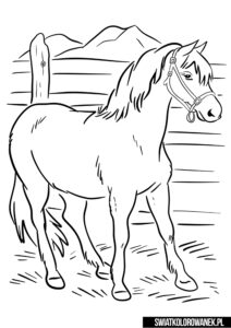 Koń na farmie malowanka