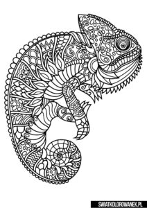 Kameleon mandala kolorowanka