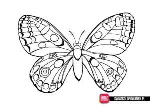 Motyl kolorowanki online.