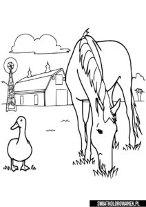 Koń i kaczka kolorowanka farma