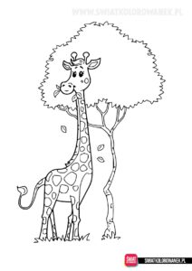 Kolorowanki zwierzęta - żyrafa