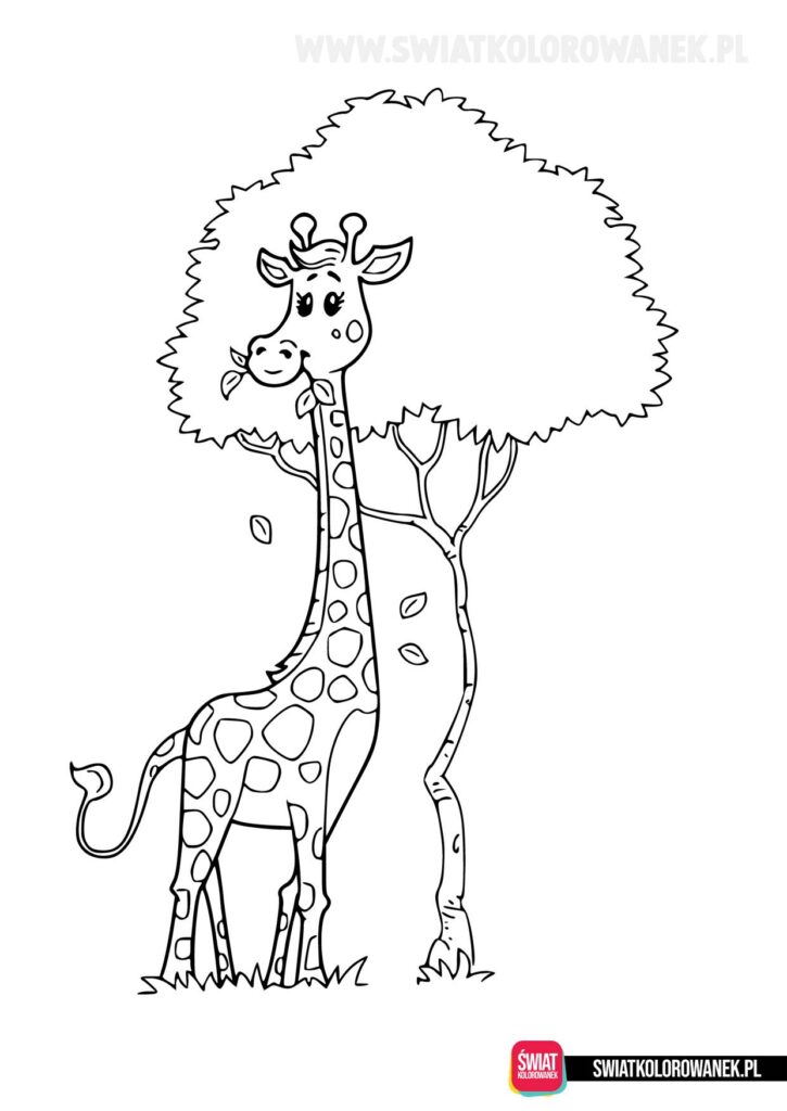 Kolorowanki zwierzęta - żyrafa