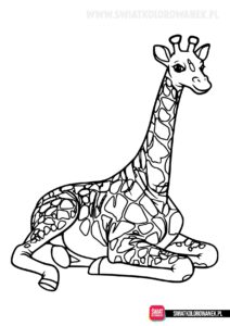 Żyrafa kolorowanka do druku