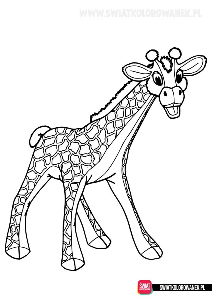 Żyrafa rysunek do druku. Kolorowanka.