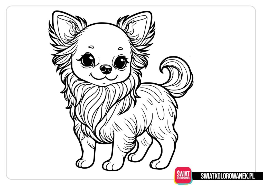 Chihuahua kolorowanki do druku