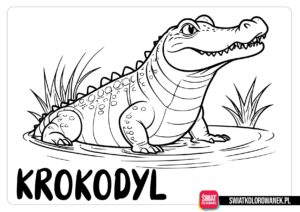 Kolorowanka do druku krokodyle