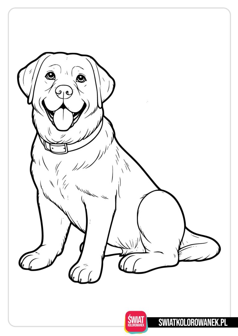 Kolorowanki Labrador