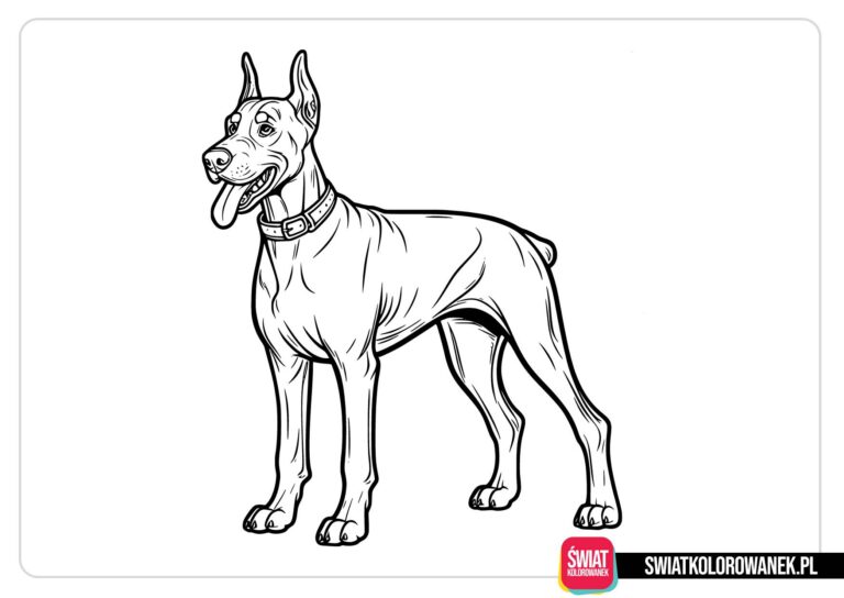 Kolorowanki psy - Doberman