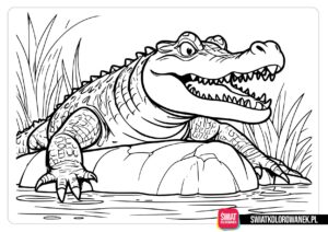 Krokodyl malowanka