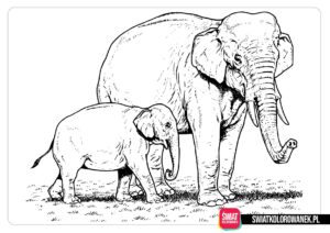 Realistyczna kolorowanka z słoniami