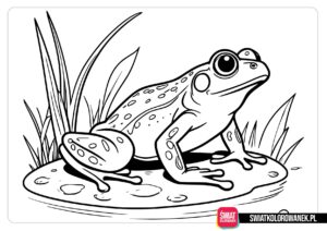 Realistyczna żaba kolorowanka