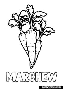 Marchew kolorowanka - alfabet litera M