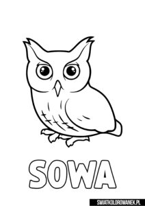 Kolorowanka Sowa