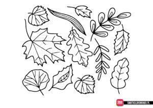 Jesienne liście kolorowanka