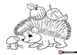 Jeż kolorowanka jesień