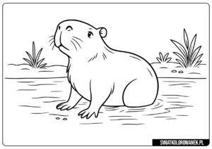 Realistyczna kolorowanka z kapibarą
